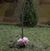 Valerie Foster's profile image