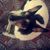 Jamie Hendricks's profile image