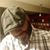 Marvin Too-Tall Hall's profile image