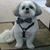 Linda Shaffer Oliver's profile image