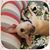 Annette Pallesen's profile image