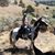 Kelly Tatman's profile image