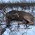 Justin Rayburn's profile image