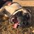 Cody Rilo's profile image