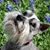 Geri Chaney's profile image