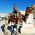 Patty Barcia's profile image