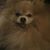 Trixie Saynotocoal Mckowski's profile image