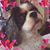 Coco Spencer's profile image