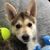Tracy Wright Williams's profile image