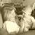 Christine Johnson's profile image
