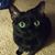 Rich Palmer's profile image
