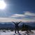 Shelley Rigel Mower's profile image