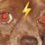 Hector R. Bernal's profile image