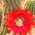 Karen Phillips's profile image