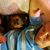 Dorothy Dias Jones's profile image