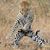 Joan Domina's profile image