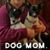Robin Celano's profile image