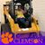 Lisa Bryant's profile image