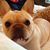 Rodney Lynn Williams's profile image
