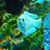 Sue Nelson- Binkley-Whittaker's profile image