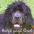 Julie Nash Ohanlon's profile image