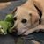 Connie Garner Hinkle's profile image