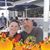 Shawna Fritz's profile image