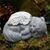 Sassie Frass's profile image