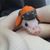 Donna Ceglia's profile image