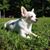 Spartacus Harlow's profile image
