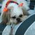 Betty Lois Brown's profile image