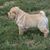 Kate Kester's profile image
