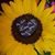 Laura Giron's profile image