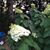 Cheryl Basich Clary's profile image