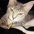 Robin Cates's profile image