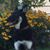 Debbie Whipple's profile image