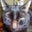 Jim Vesock's profile image