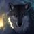 Lobo Barajas's profile image