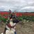 Crystal Marie Smith's profile image