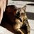 Denise Christensen Metcalf's profile image
