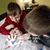 Deb Greenland Ginnett's profile image