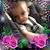 Cathy Cornett's profile image