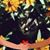 Shelly Dawson Gilley's profile image