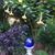 Margaret Furby's profile image