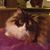 Tina Hedrick Buckman's profile image