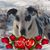 Luann Mravec-Gable's profile image