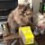 Tricia Ronten's profile image