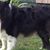 Jan Wilson's profile image