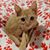 Jennifer Schreck's profile image