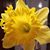 Belinda Riggs Burns's profile image